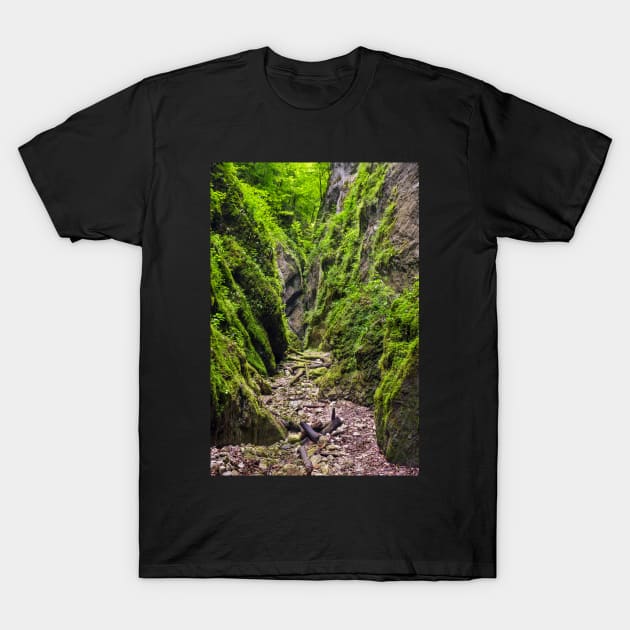 A beautiful view of a narrow wild canyon T-Shirt by naturalis